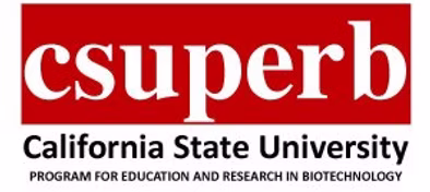 CSUPERB