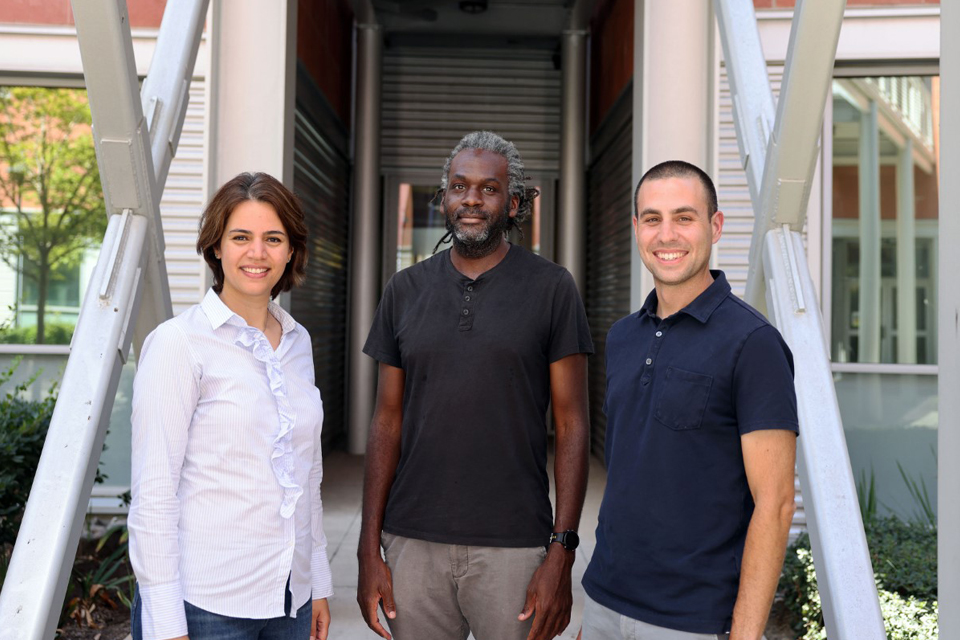 NSF Grant